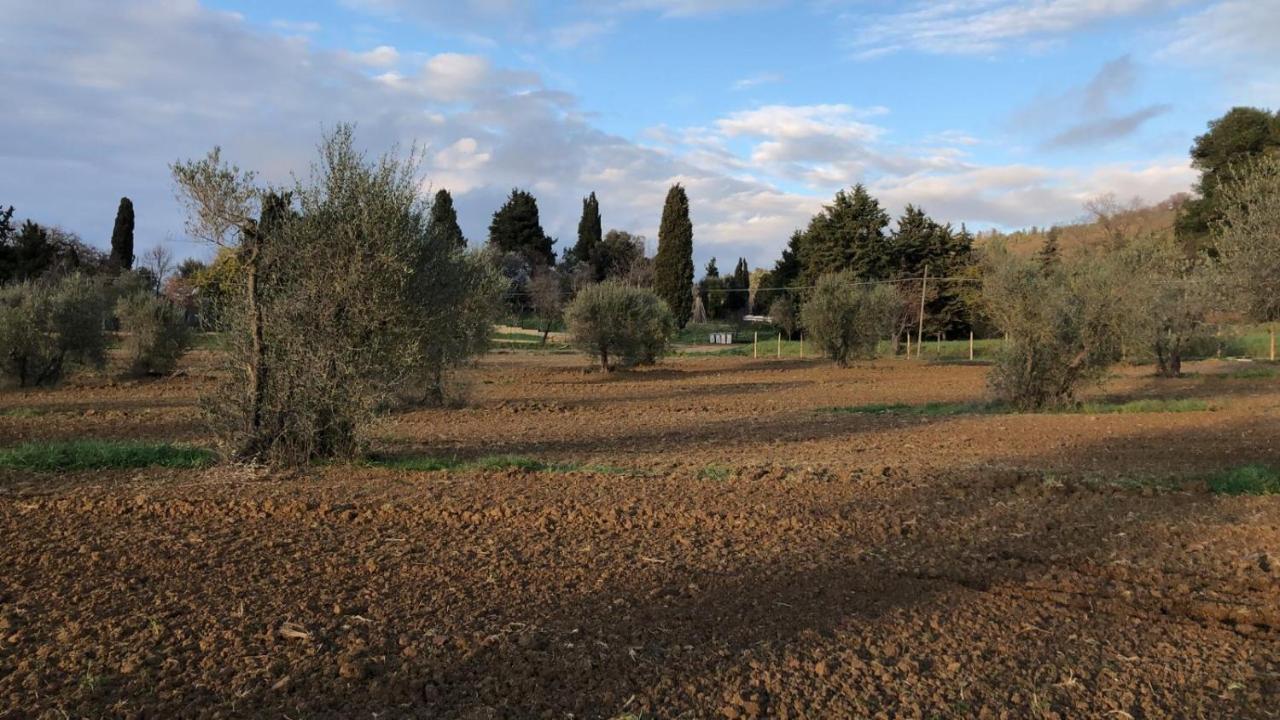 Agriturismo Il Broletto Suvereto Buitenkant foto
